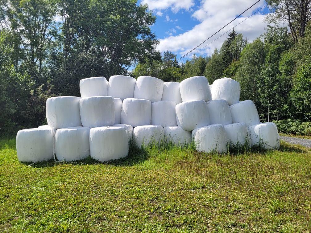 Rundballer av prima kvalitet