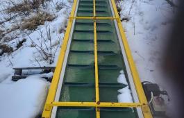 Transportbånd 7 meter