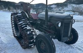 Gråtass m/halvbelter  mva fri 