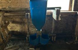 Kraftfôrautomat for kalv 